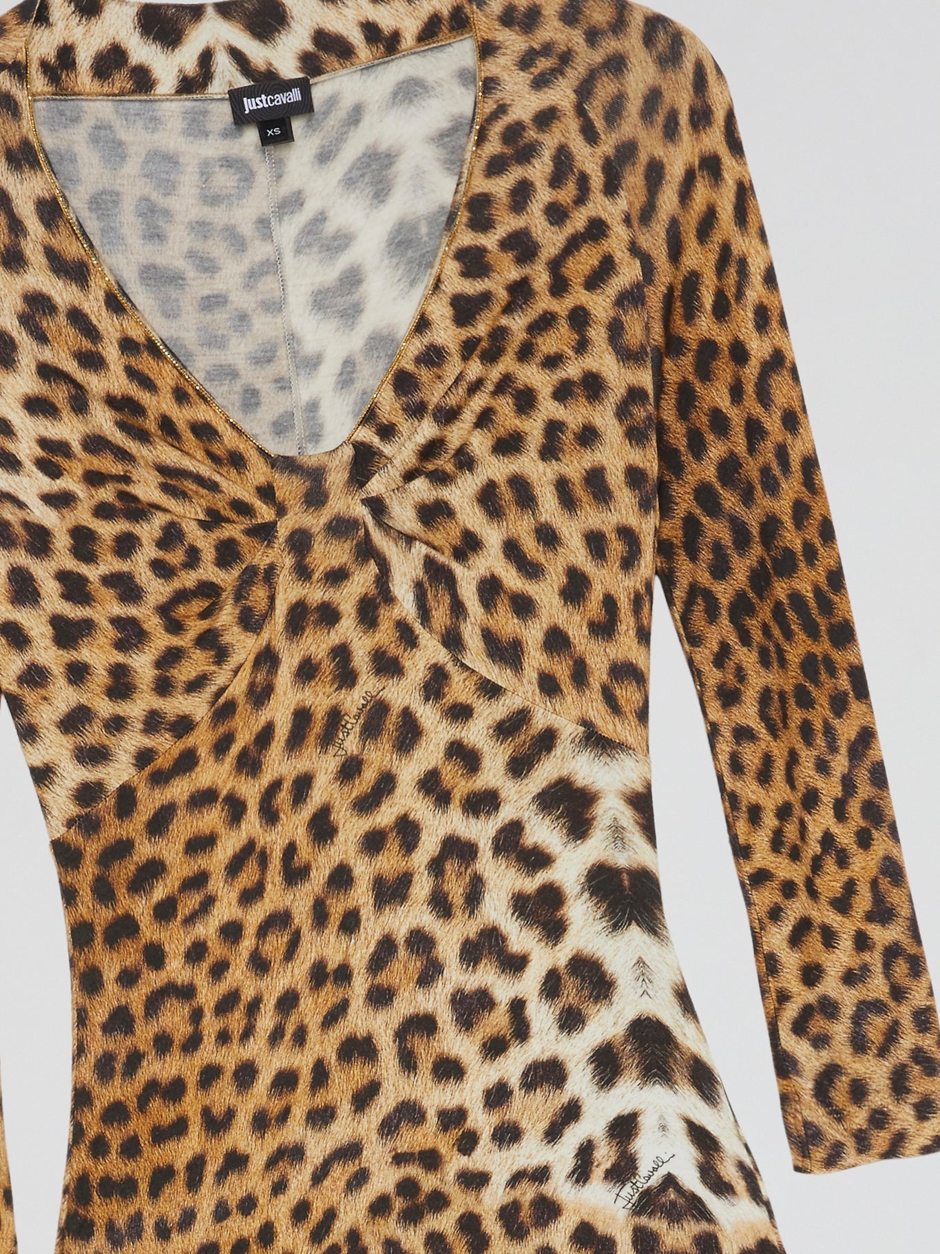 Leopard Print Long Sleeve Dress